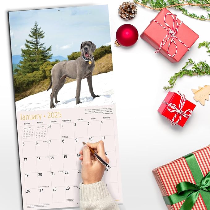 RED EMBER Great Danes 2025 Wall Calendar 12 Month | 12" x 24" Open | Thick & Sturdy Paper | Giftable | Calendar 2025