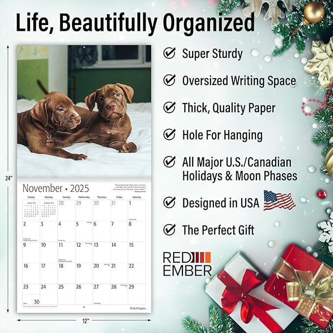RED EMBER Pit Bull Puppies 2025 Wall Calendar 12 Month | 12" x 24" Open | Thick & Sturdy Paper | Giftable | Calendar 2025