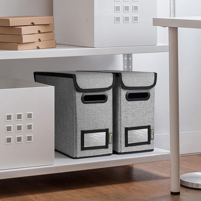 BALEINE File Organizer Box with Lid, Collapsible File Folder Organizer with Plastic Slide, Hanging File Folder Box for Office Document Storage (2 Pack, Grey, S)