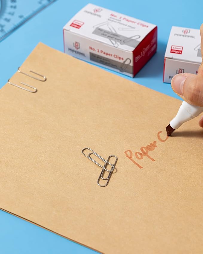 PAPERPAL #1 Smooth Paper Clips, 2000 Medium Paper Clips (20 Boxes of 100 Each), Bulk Paperclips for Office School & Personal Use, Daily DIY, 1-2/7" Silver Paper Clip Standard Size