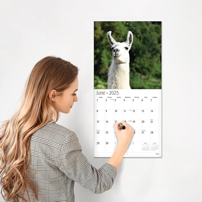 RED EMBER Llamas 2025 Wall Calendar 12 Month | 12" x 24" Open | Thick & Sturdy Paper | Giftable | Calendar 2025