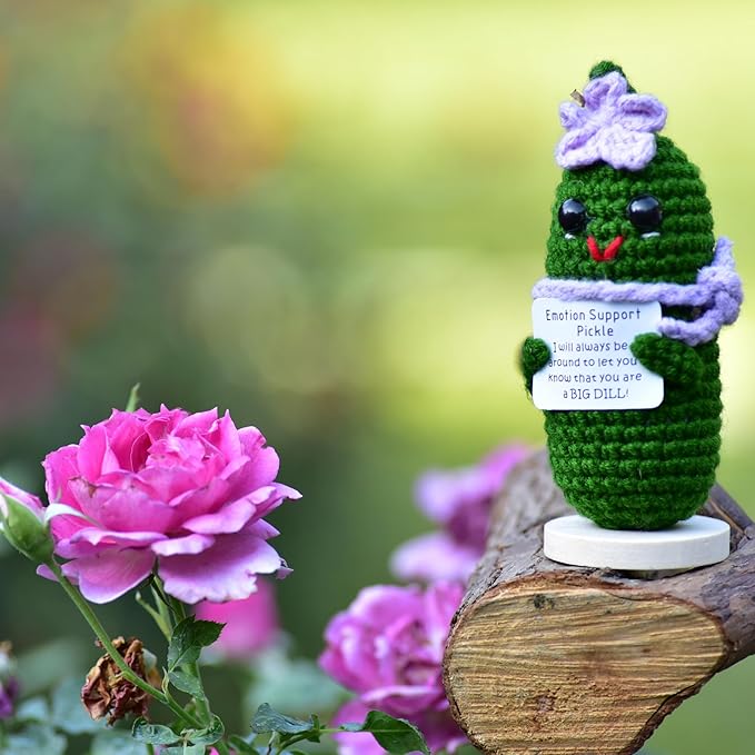 Funny Crochet Pickles 1 Pcs with Affirmations Cards for Inspirational Novelty Good Luck Gifts and Party Decorations(KK-CKD04-ppfw)