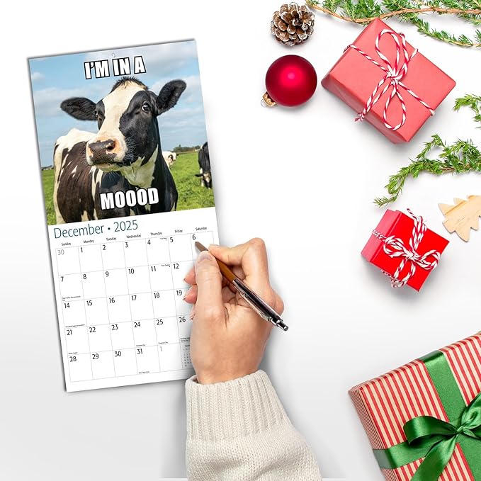 RED EMBER Funny Animal Memes Mini 2025 Wall Calendar 12 Month | 7" x 14" Open | Thick & Sturdy Paper | Giftable | Calendar 2025