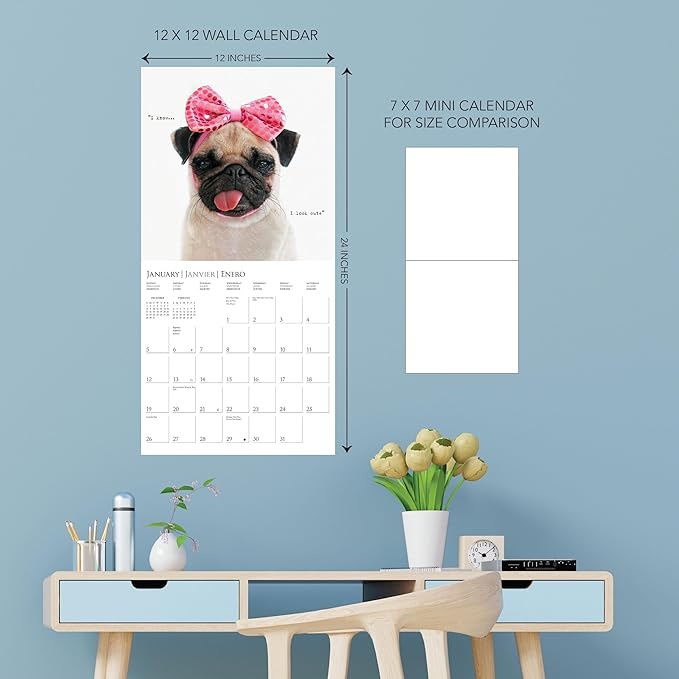 Graphique 2025 Pawparazzi Wall Calendar | 12” x 12” | Thick Paper | Home & Office Organizer | Large Monthly Grid | 3 Languages & Marked Holidays | 4 Month Preview Page for 2026