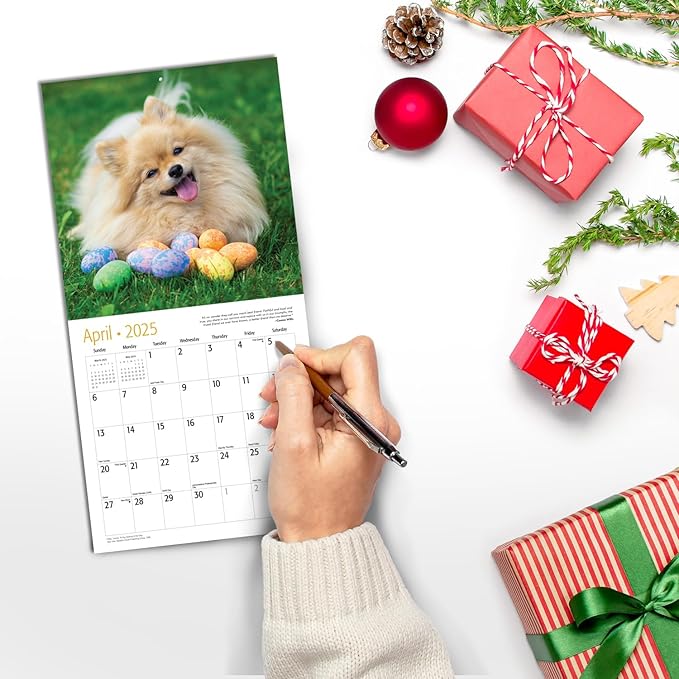 RED EMBER Dog-Gone Happy Mini 2025 Wall Calendar 12 Month | 7" x 14" Open | Thick & Sturdy Paper | Giftable | Calendar 2025