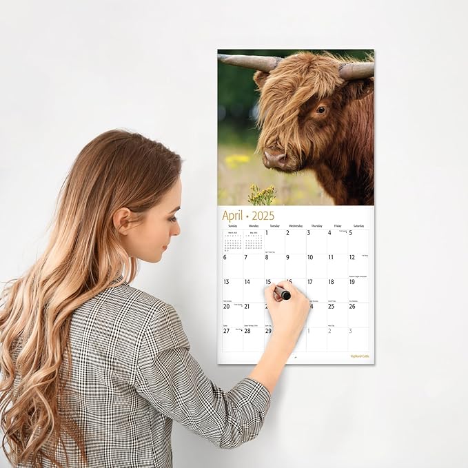 RED EMBER Highland Cattle 2025 Wall Calendar 12 Month | 12" x 24" Open | Thick & Sturdy Paper | Giftable | Calendar 2025