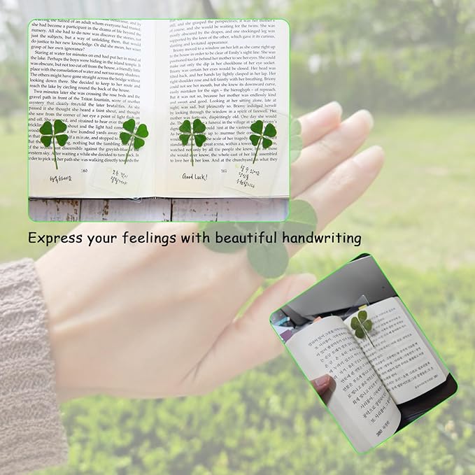 Genuine Real Four Leaf Clover Card Bookmark, Five Leaf Clover Card, Good Luck Gift Card, Invitation Card in Envelope, Good Luck Charm Deco (Big Four-Leaf Clover)