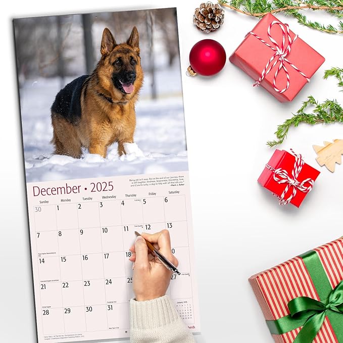 RED EMBER Select - German Shepherds 2025 Wall Calendar 12 Month | 12" x 24" Open | Thick & Sturdy Paper | Giftable | Calendar 2025