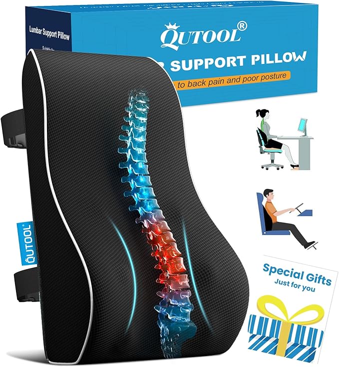 Elegant Lumbar Support Pillow for Office Chair - Ergonomic Back Support with Breathable 3D Mesh Cover, Ideal Gifts for Women,Birthdays & Holidays, Well-Suited for Office Chairs, Gaming Chairs (Black)