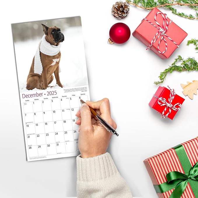 MICASA Boxers Mini 2025 Wall Calendar 12 Month | 7" x 14" Open | Thick & Sturdy Paper | Giftable | Calendar 2025