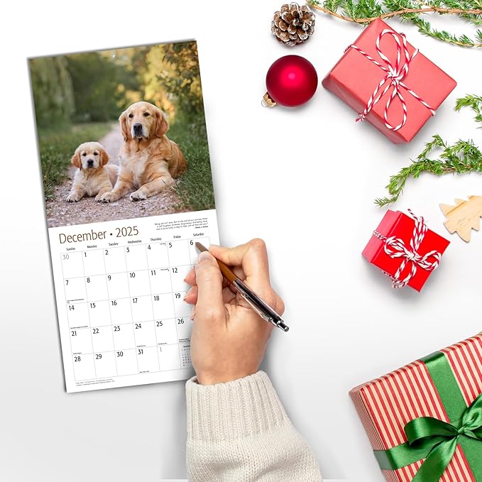 RED EMBER Golden Retrievers Mini 2025 Wall Calendar 12 Month | 7" x 14" Open | Thick & Sturdy Paper | Giftable | Calendar 2025