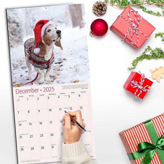 RED EMBER Basset Hounds 2025 Wall Calendar 12 Month | 12" x 24" Open | Thick & Sturdy Paper | Giftable | Calendar 2025