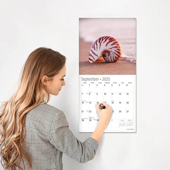RED EMBER Sand and Shells 2025 Wall Calendar 12 Month | 12" x 24" Open | Thick & Sturdy Paper | Giftable | Calendar 2025
