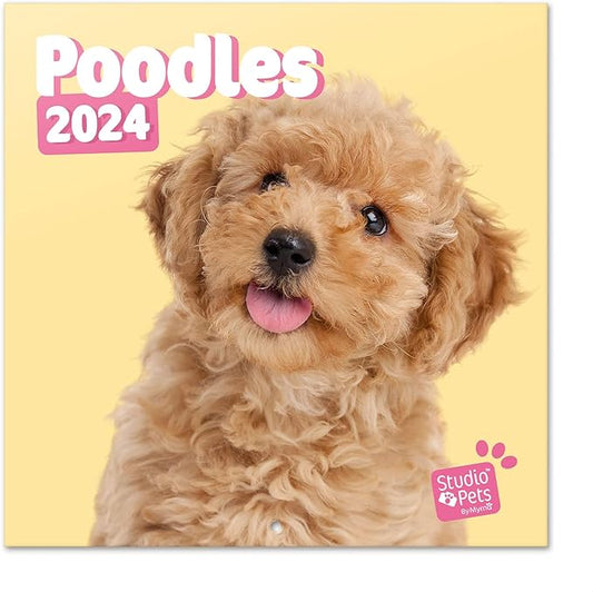 Official Studio Pets Dogs Wall Calendar 2024 12" x 12" FSC® Plastic Free - Starts Week On Sunday | 12 Month Planner | Square Wall Calendar 2024 | Family Planner Calendar 2024 | Poodle Calendar 2024 |