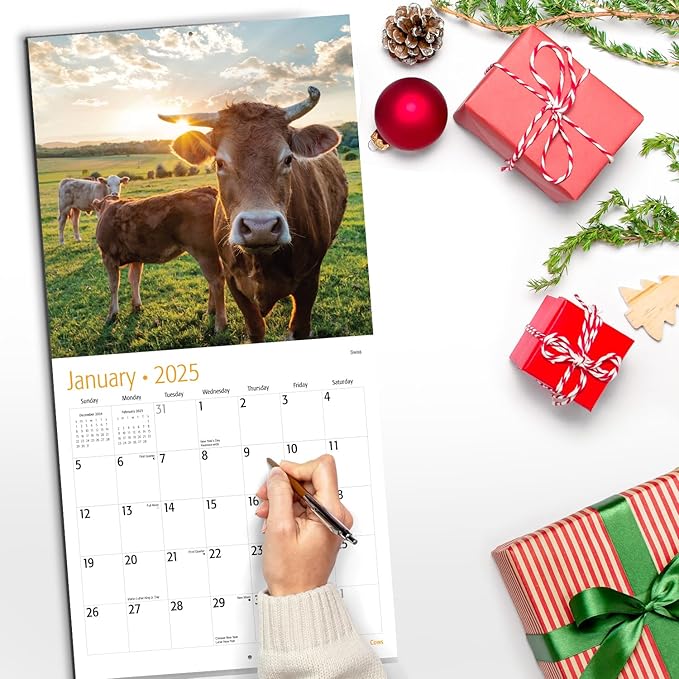 RED EMBER Cows 2025 Wall Calendar 12 Month | 12" x 24" Open | Thick & Sturdy Paper | Giftable | Calendar 2025