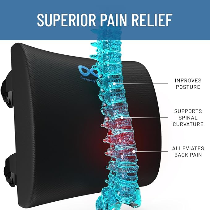 Everlasting Comfort Lumbar Support Pillow for Office Chair - Gel Infused Back Cushion for Chair, Car, Couch - Lumbar Pillow Promotes Better Posture, Back Pain Relief - Ideal for Gaming and Desk Chairs