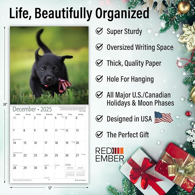 RED EMBER Black Lab Puppies 2025 Wall Calendar 12 Month | 12" x 24" Open | Thick & Sturdy Paper | Giftable | Calendar 2025