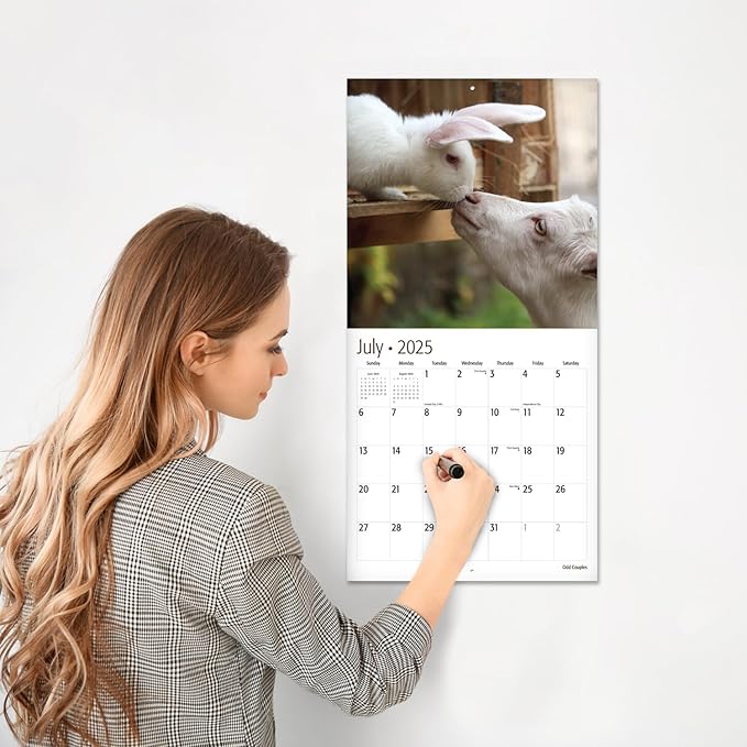 RED EMBER Odd Couples 2025 Wall Calendar 12 Month | 12" x 24" Open | Thick & Sturdy Paper | Giftable | Calendar 2025