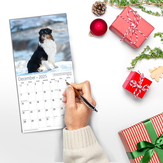 MICASA Australian Shepherds Mini 2025 Wall Calendar 12 Month | 7" x 14" Open | Thick & Sturdy Paper | Giftable | Calendar 2025