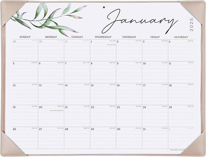 Cabbrix Desk Calendar 2025 with Desktop Mat, Large Desk Pad Calendar 21" x 16-1/2" Runs From Now to December 2025, Desk Blotter Calendar for Home School and Office, Apricot