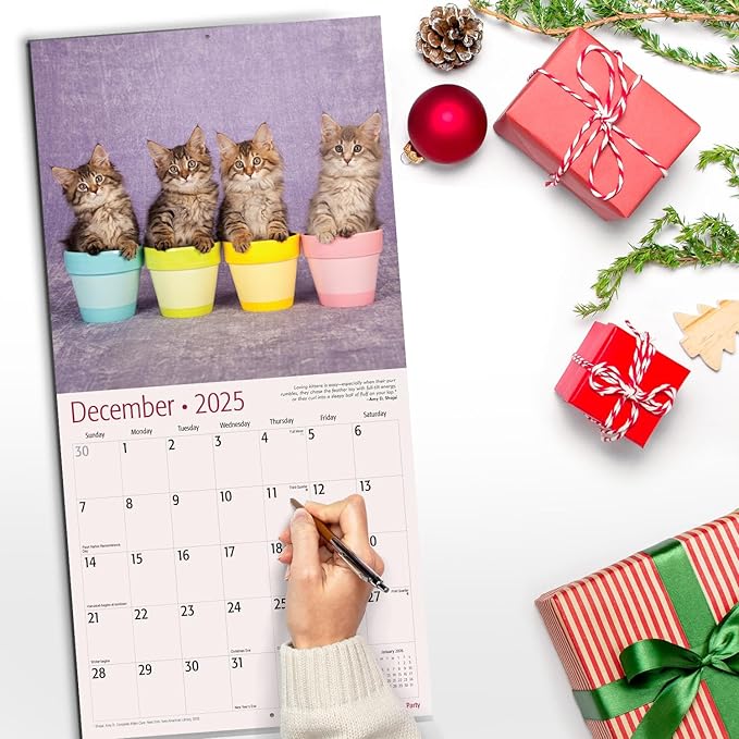 RED EMBER Kitten Party 2025 Wall Calendar 12 Month | 12" x 24" Open | Thick & Sturdy Paper | Giftable | Calendar 2025