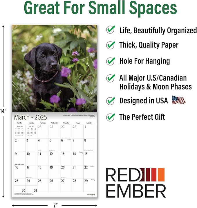 RED EMBER Lab Puppies Mini 2025 Wall Calendar 12 Month | 7" x 14" Open | Thick & Sturdy Paper | Giftable | Calendar 2025