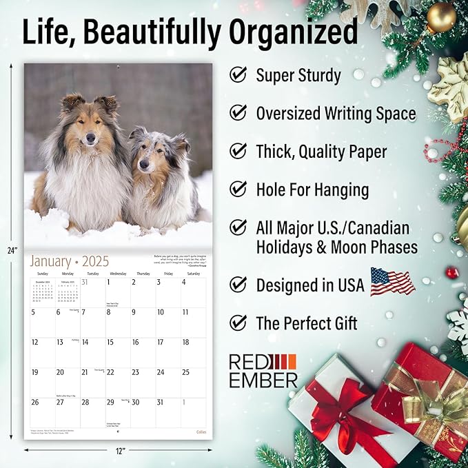 RED EMBER Collies 2025 Wall Calendar 12 Month | 12" x 24" Open | Thick & Sturdy Paper | Giftable | Calendar 2025