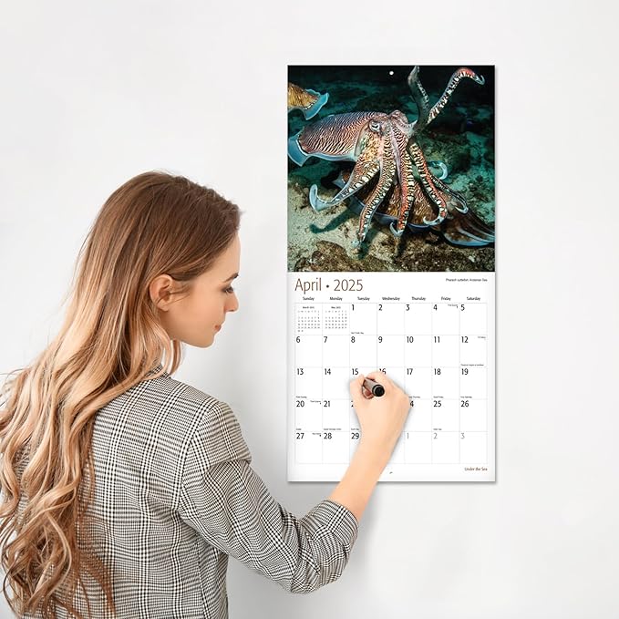RED EMBER Under the Sea 2025 Wall Calendar 12 Month | 12" x 24" Open | Thick & Sturdy Paper | Giftable | Calendar 2025