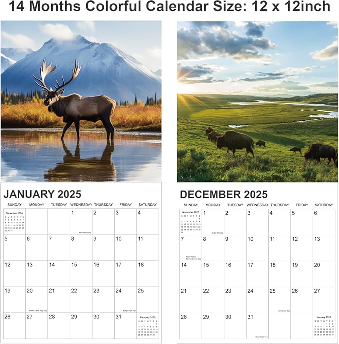 Calendar 2025, National Parks Calendar 2025 from January 2025 - December 2025, 12" x 24" Opened 12 Months Calendar, Full Page Months Thick & Sturdy Paper for Gift Perfect Calendar Organizing