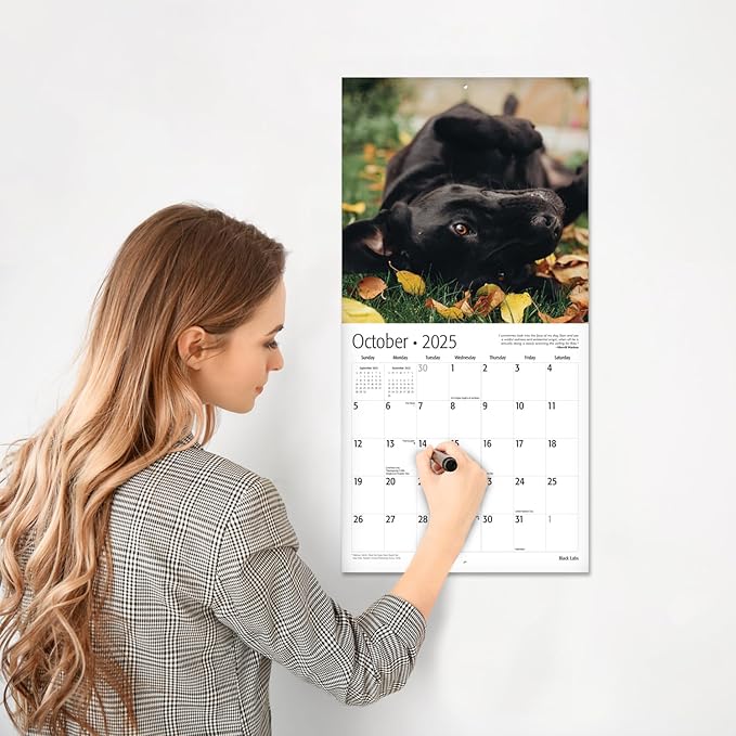 RED EMBER Black Labs 2025 Wall Calendar 12 Month | 12" x 24" Open | Thick & Sturdy Paper | Giftable | Calendar 2025