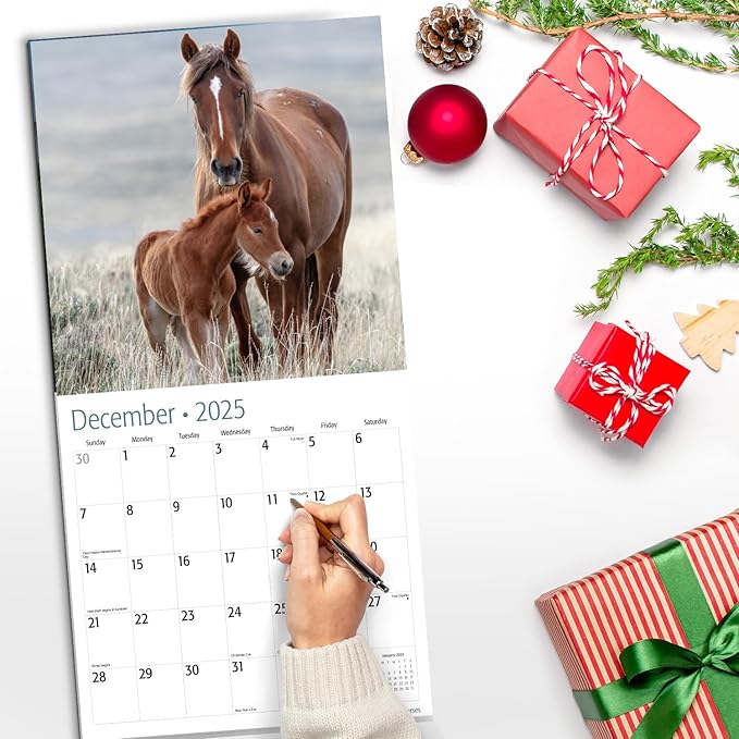 RED EMBER Horses 2025 Wall Calendar 12 Month | 12" x 24" Open | Thick & Sturdy Paper | Giftable | Calendar 2025