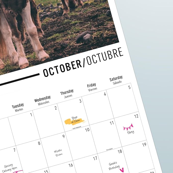 Wall Calendar 2024 12" x 12" FSC® Plastic Free - Starts Week On Sunday | Square Wall Calendar 2024 | Family Planner Calendar 2024 | 2024 Calendar (Horses 2024)