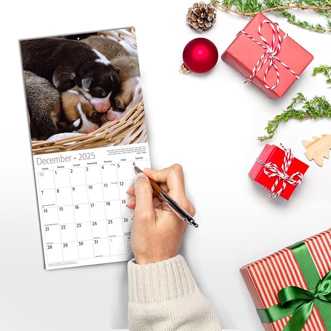 RED EMBER Pooped Puppies Mini 2025 Wall Calendar 12 Month | 7" x 14" Open | Thick & Sturdy Paper | Giftable | Calendar 2025