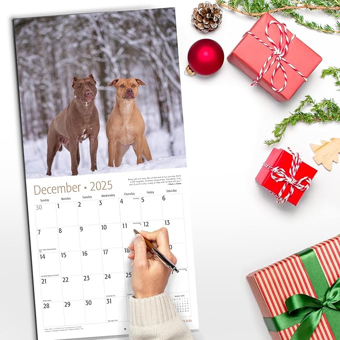 RED EMBER Pit Bulls 2025 Wall Calendar 12 Month | 12" x 24" Open | Thick & Sturdy Paper | Giftable | Calendar 2025