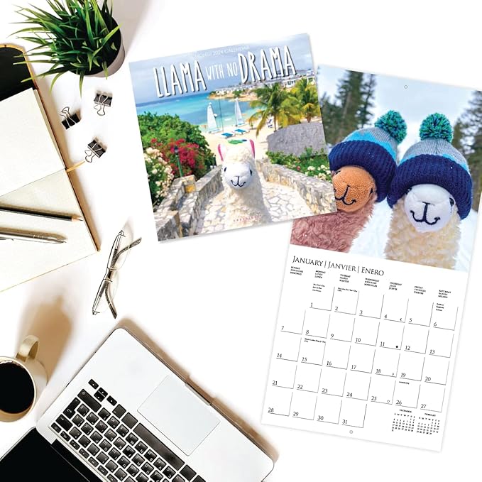Graphique 2024 Llama with no Drama Wall Calendar | 12” x 12” | Thick Paper | Home & Office Organizer | Large Monthly Grid | 3 Languages & Marked Holidays | 4 Month Preview Page for 2025