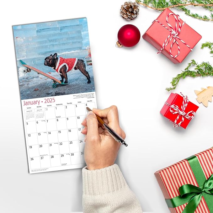 RED EMBER Dogs on Skateboards Mini 2025 Wall Calendar 12 Month | 7" x 14" Open | Thick & Sturdy Paper | Giftable | Calendar 2025