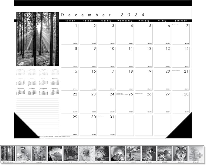 House of Doolittle 2025 Monthly Desk Pad Calendar, Black on White Series, 22 x 17 Inches, 13 Months, December - December (HOD122-25)