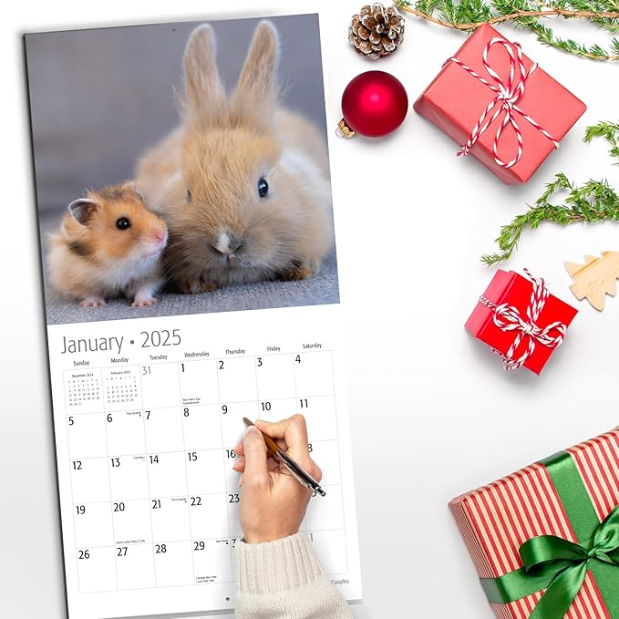 RED EMBER Odd Couples 2025 Wall Calendar 12 Month | 12" x 24" Open | Thick & Sturdy Paper | Giftable | Calendar 2025