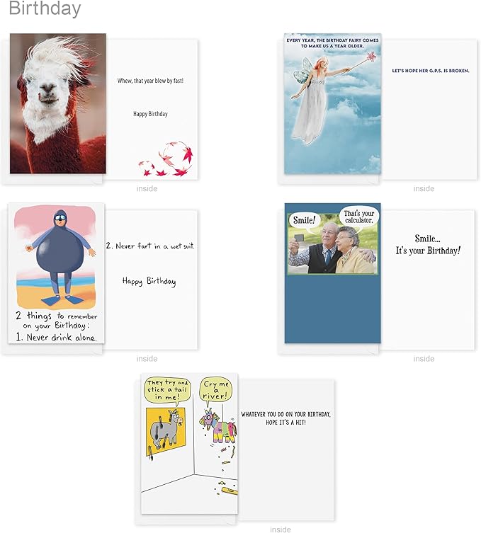 Recycled Paper Greetings 30-Count Funny All Occasion Card Assortment with Envelopes, Seals, and Storage Box by Hey Look!