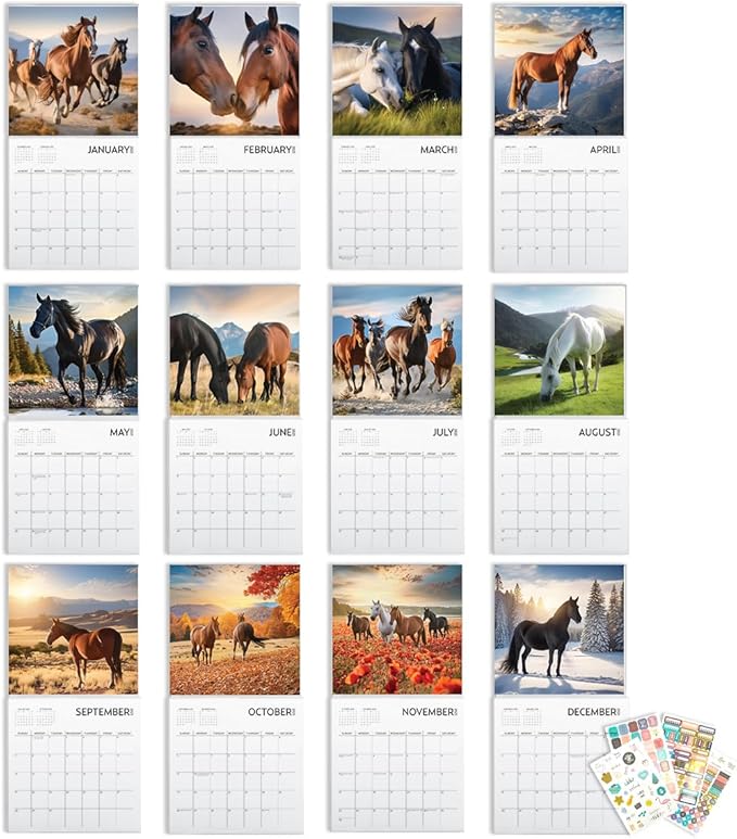 Horses Calendar 2025 with Sticker Pack, Large 12 x 12 inch, Horse Wall Calendar with Sticker Set, Gift for Horse Lovers, Cute Calendar for girls