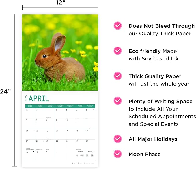 2025 Baby Animals Monthly Wall Calendar by Bright Day, Includes Over 300 Stickers, 12 x 12 Inch