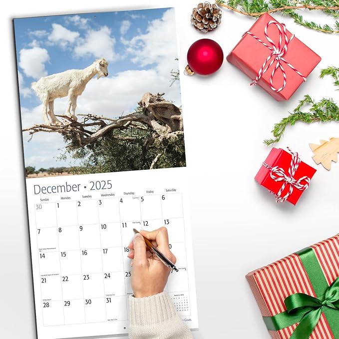 RED EMBER Tree Goats 2025 Wall Calendar 12 Month | 12" x 24" Open | Thick & Sturdy Paper | Giftable | Calendar 2025