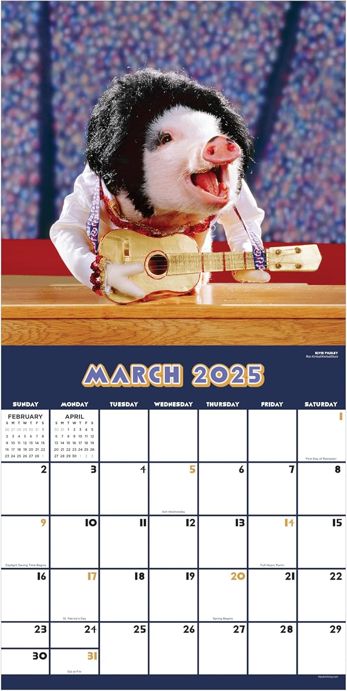 TF PUBLISHING 2025 Playful Pigs Wall Calendar - Large Grids for Appointments and Scheduling - Vertical Monthly Wall Calendar 2025 - Home and Office Organization - Premium Gloss Paper - 12"x12”
