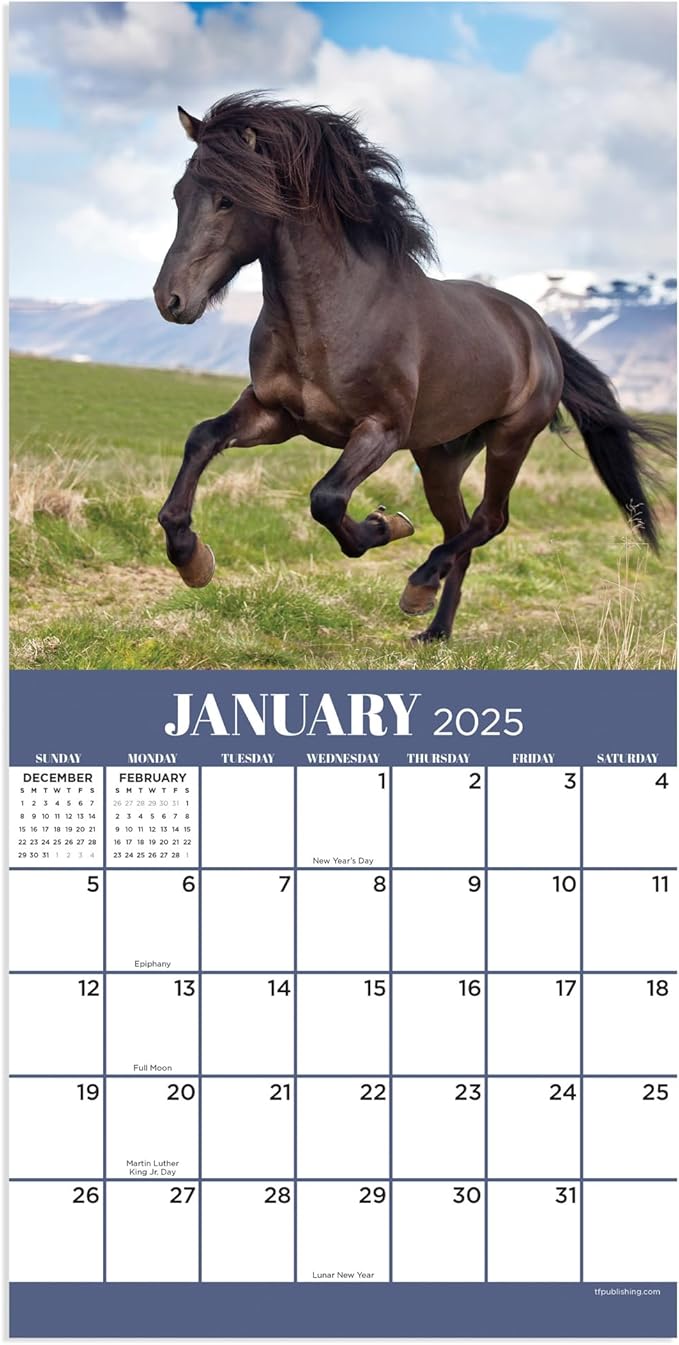 TF PUBLISHING 2025 Horses Mini Calendar - Large Grids for Appointments and Scheduling - Vertical Monthly Wall Calendar 2025 - Home and Office Organization - Premium Thick Gloss Paper - 7"x7"