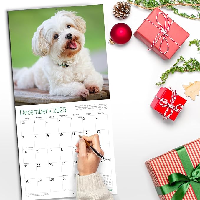 RED EMBER Dog-Gone Happy 2025 Wall Calendar 12 Month | 12" x 24" Open | Thick & Sturdy Paper | Giftable | Calendar 2025