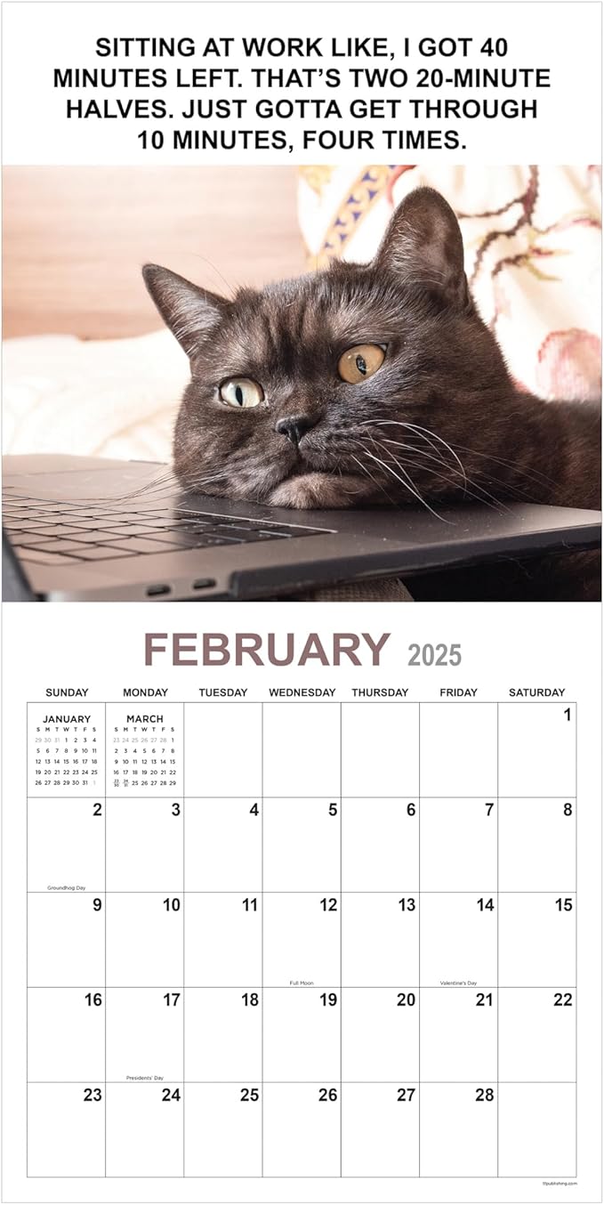 TF PUBLISHING 2025 Corporate Cats Wall Calendar - Large Grids for Appointments and Scheduling - Vertical Monthly Wall Calendar 2025 - Home and Office Organization - Premium Gloss Paper - 12"x12”