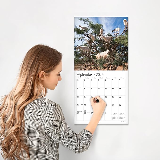 RED EMBER Tree Goats 2025 Wall Calendar 12 Month | 12" x 24" Open | Thick & Sturdy Paper | Giftable | Calendar 2025