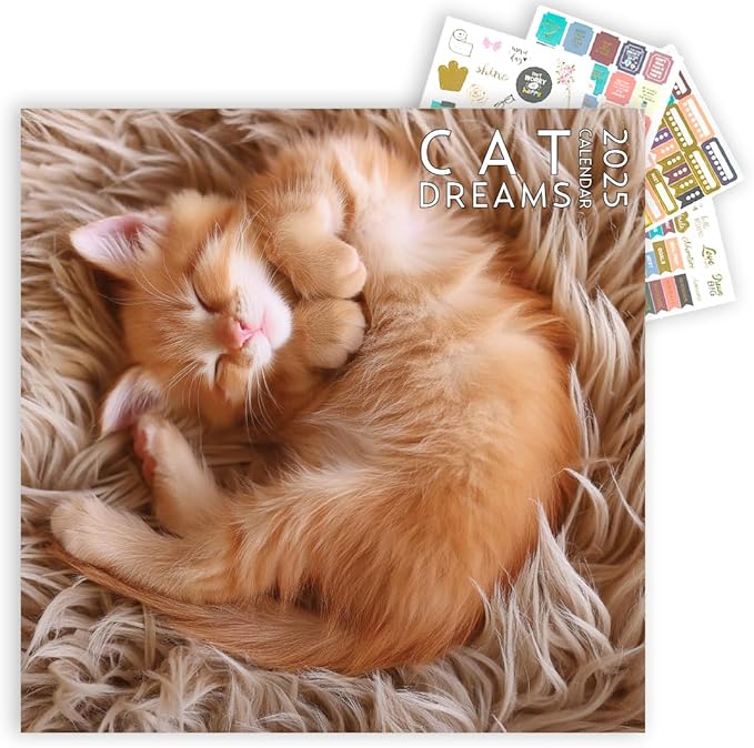 Cat Calendar 2025 with Sticker Pack, Kitten Square Large Wall Calendar 12 x 12 inch, Yearly Cat Lover's Calendar and Sticker Set