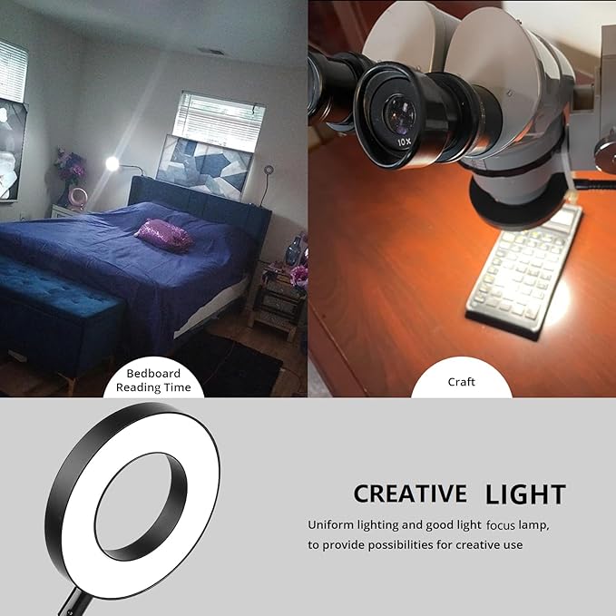 Desk Clip on Lamp for Reading Home Office, with 5V 2A Adapter, 10 Dimmable Brightness 3 Modes, Clamp Reading Light for Bed Headboard, Craft (2packs, Black)…