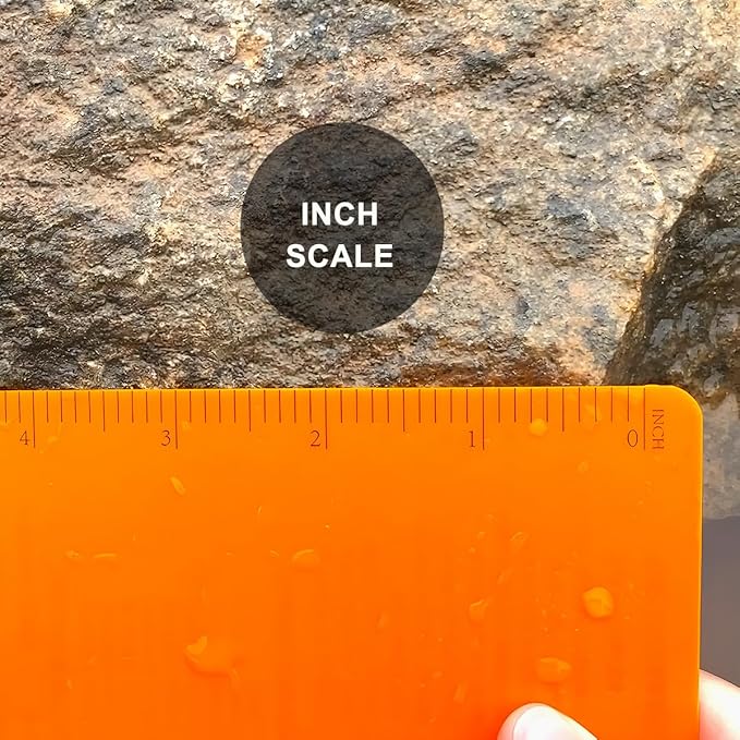 2PCS Field Grid Weatherproof Spiral Notebooks 4.8"x7" with All-Weather Stone Paper and Waterproof PVC Cover, 100 Pages per Pocket Notepad, A6 Medium Memo Steno Pads (Field, Blue)